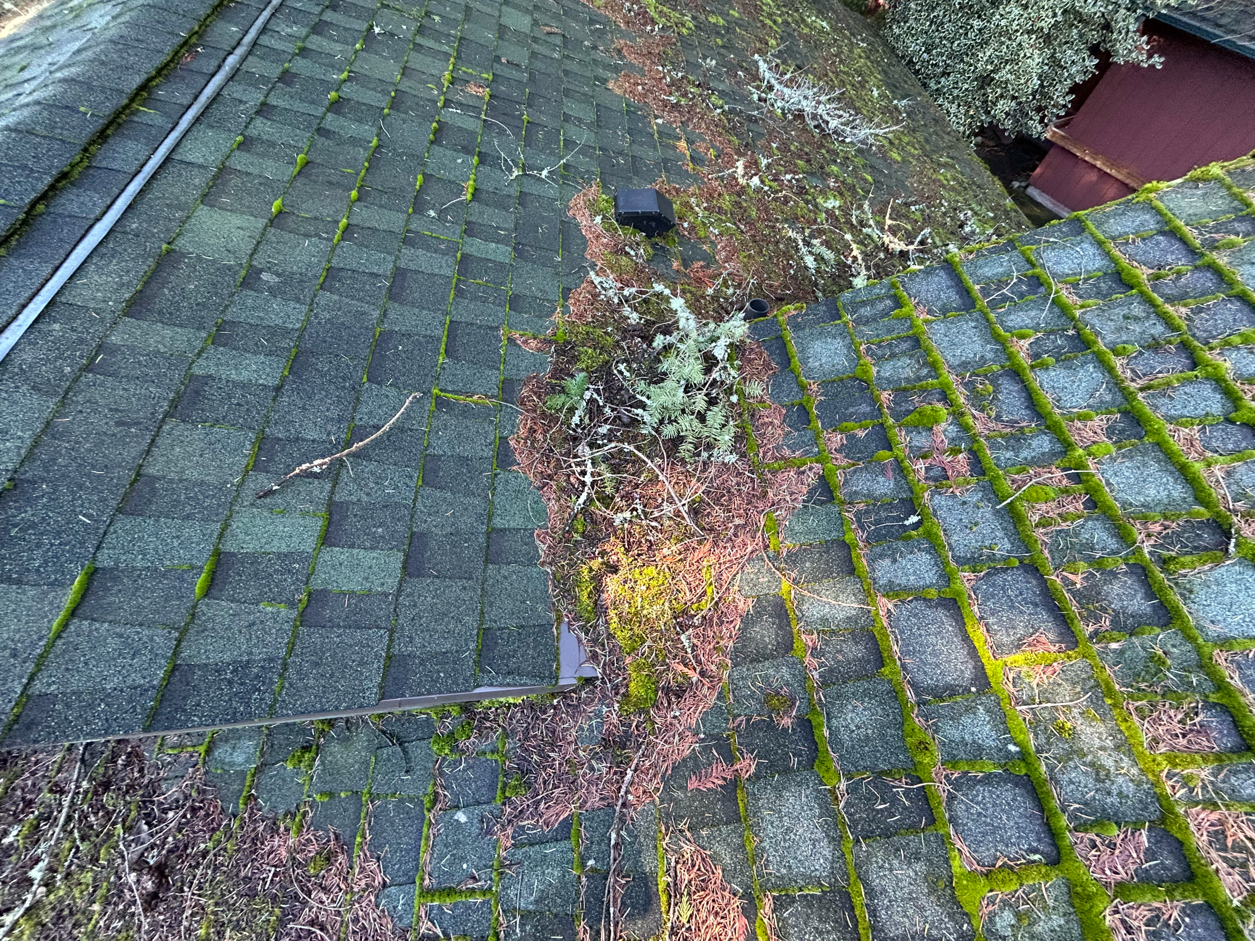 Damaged Roof roof inspection by pro roof sales